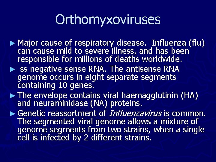 Orthomyxoviruses ► Major cause of respiratory disease. Influenza (flu) can cause mild to severe Orthomyxoviruses ► Major cause of respiratory disease. Influenza (flu) can cause mild to severe