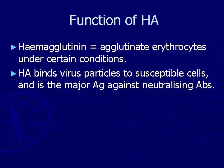 Function of HA ► Haemagglutinin = agglutinate erythrocytes under certain conditions. ► HA binds Function of HA ► Haemagglutinin = agglutinate erythrocytes under certain conditions. ► HA binds