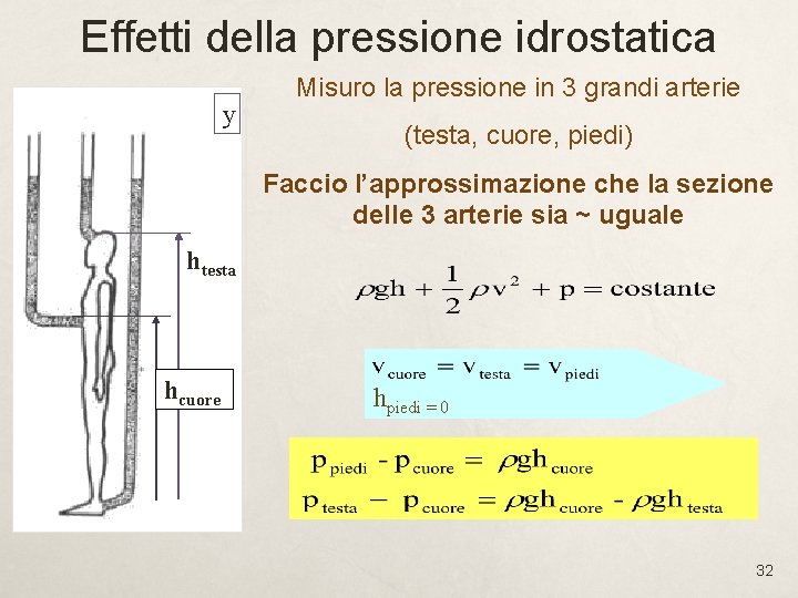 Effetti della pressione idrostatica y Misuro la pressione in 3 grandi arterie (testa, cuore,