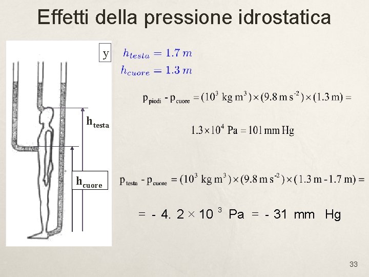 Effetti della pressione idrostatica y htesta hcuore = - 4. 2 ´ 10 3