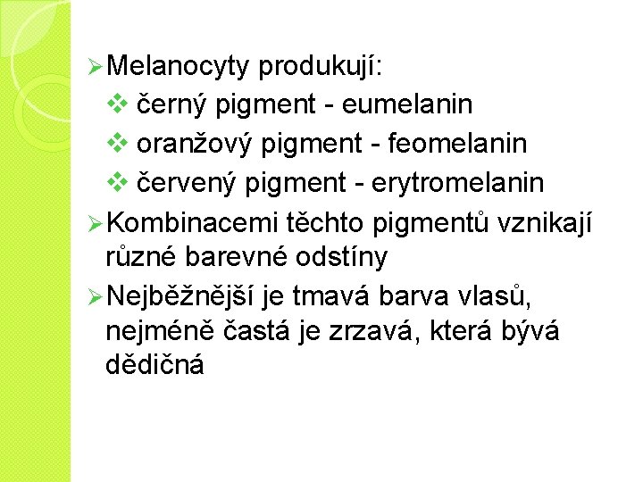 Ø Melanocyty produkují: v černý pigment - eumelanin v oranžový pigment - feomelanin v