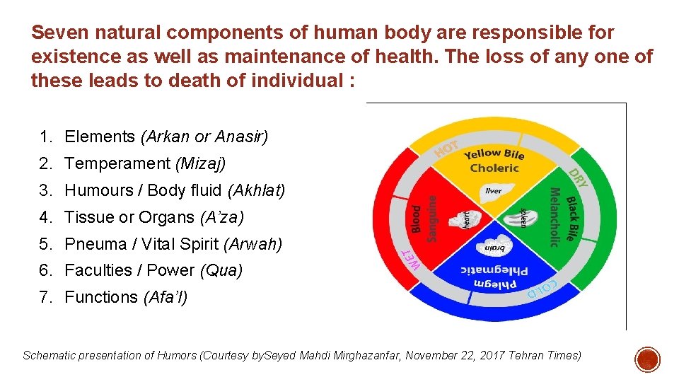 Seven natural components of human body are responsible for existence as well as maintenance