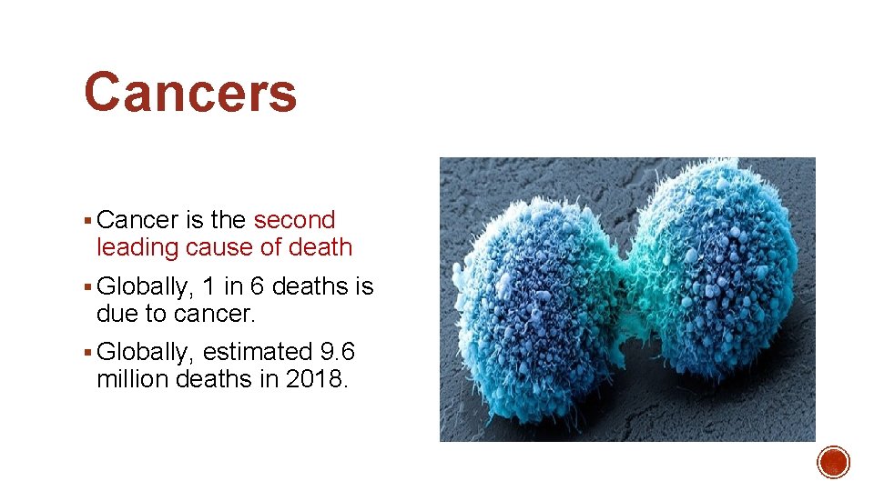 Cancers § Cancer is the second leading cause of death § Globally, 1 in