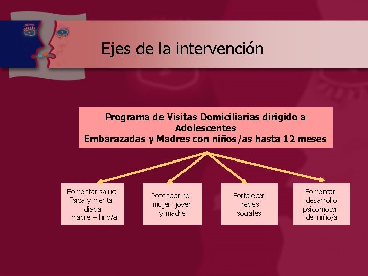 Ejes de la intervención Programa de Visitas Domiciliarias dirigido a Adolescentes Embarazadas y Madres