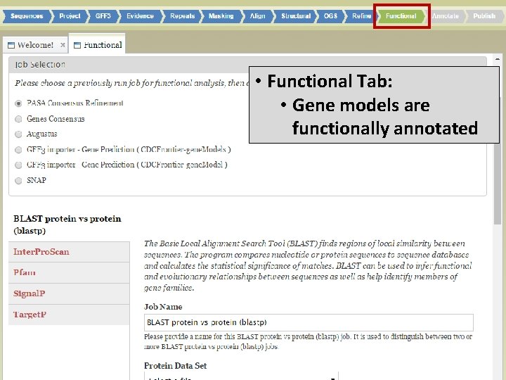  • Functional Tab: • Gene models are functionally annotated 