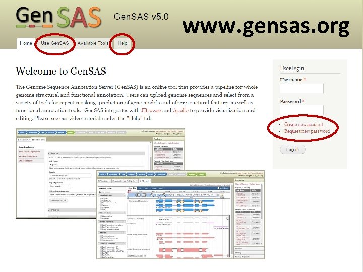 www. gensas. org 