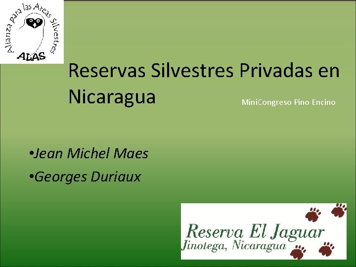 Reservas Silvestres Privadas en Nicaragua Mini. Congreso Pino Encino • Jean Michel Maes •