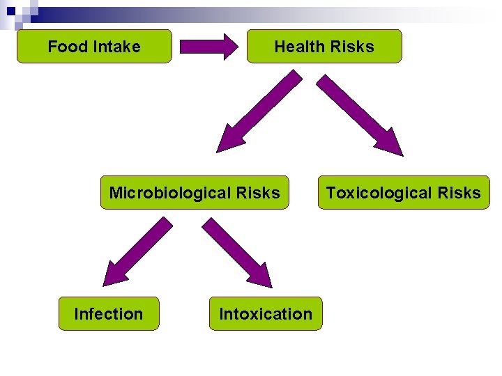 Food Intake Health Risks Microbiological Risks Infection Intoxication Toxicological Risks 