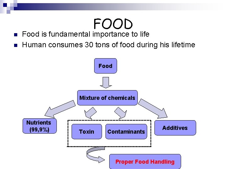 n n FOOD Food is fundamental importance to life Human consumes 30 tons of