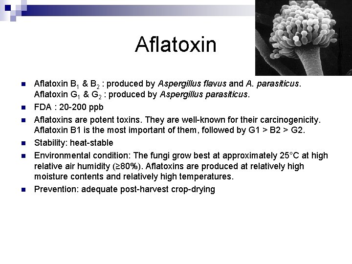 Aflatoxin n n n Aflatoxin B 1 & B 2 : produced by Aspergillus