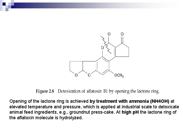 Opening of the lactone ring is achieved by treatment with ammonia (NH 4 OH)