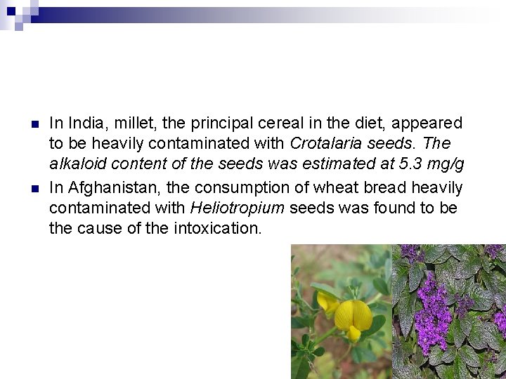n n In India, millet, the principal cereal in the diet, appeared to be
