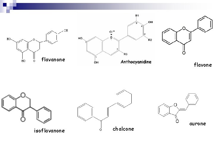 flavanone isoflavanone flavone chalcone aurone 