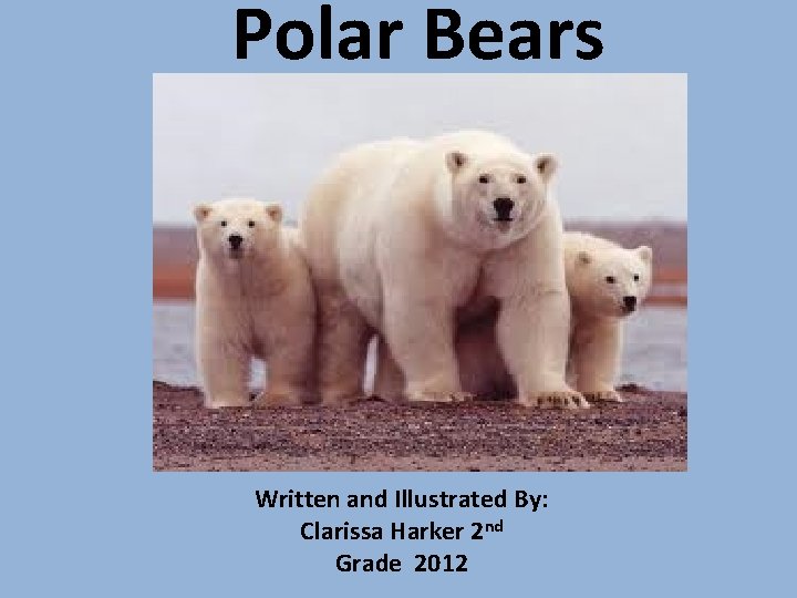 Polar Bears Written and Illustrated By: Clarissa Harker 2 nd Grade 2012 