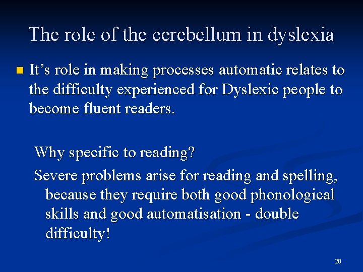 The role of the cerebellum in dyslexia n It’s role in making processes automatic