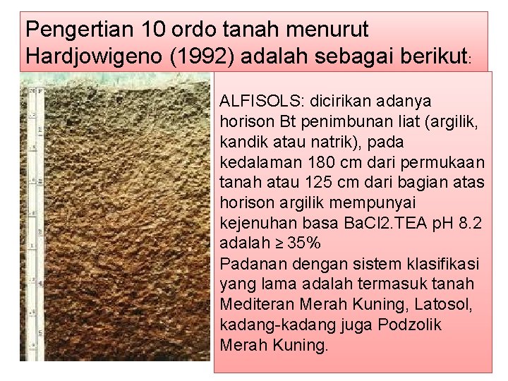 Pengertian 10 ordo tanah menurut Hardjowigeno (1992) adalah sebagai berikut: ALFISOLS: dicirikan adanya horison