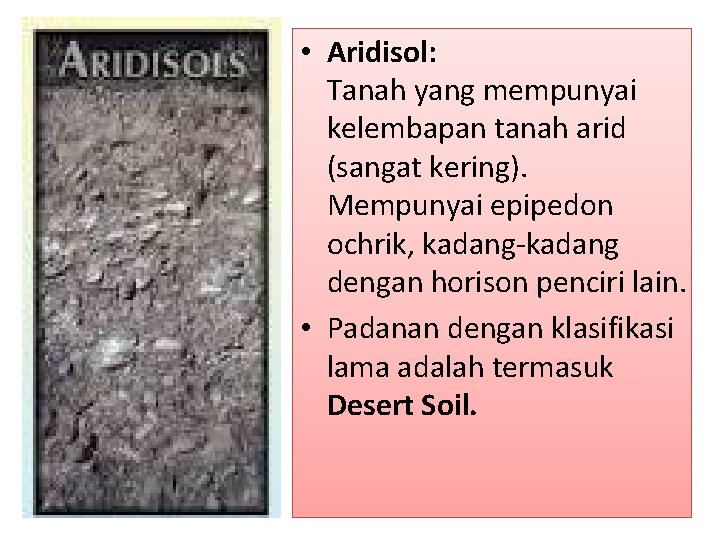  • Aridisol: Tanah yang mempunyai kelembapan tanah arid (sangat kering). Mempunyai epipedon ochrik,