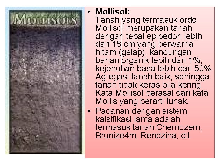  • Mollisol: Tanah yang termasuk ordo Mollisol merupakan tanah dengan tebal epipedon lebih