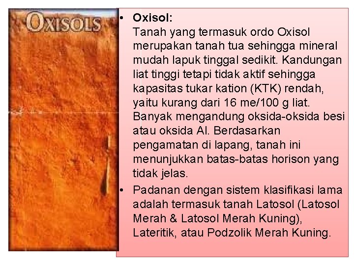 • Oxisol: Tanah yang termasuk ordo Oxisol merupakan tanah tua sehingga mineral mudah • Oxisol: Tanah yang termasuk ordo Oxisol merupakan tanah tua sehingga mineral mudah