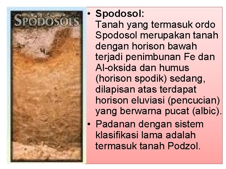  • Spodosol: Tanah yang termasuk ordo Spodosol merupakan tanah dengan horison bawah terjadi