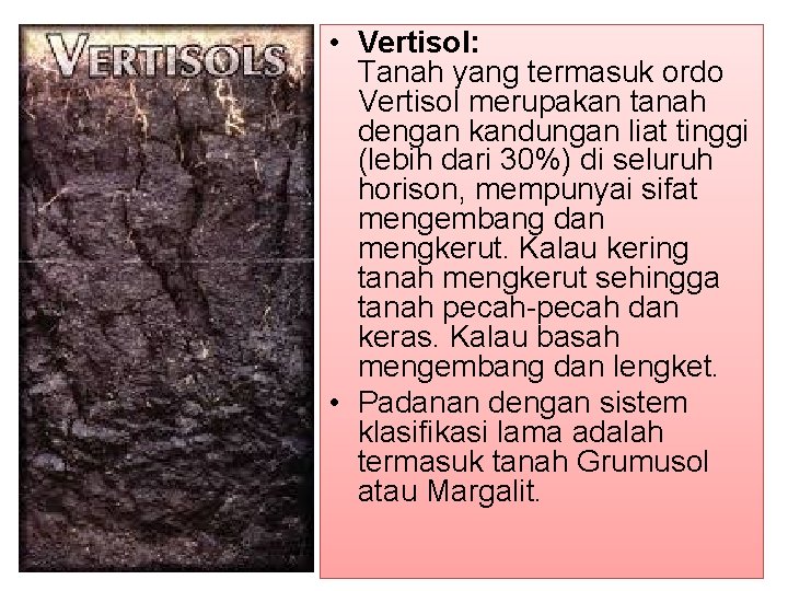  • Vertisol: Tanah yang termasuk ordo Vertisol merupakan tanah dengan kandungan liat tinggi