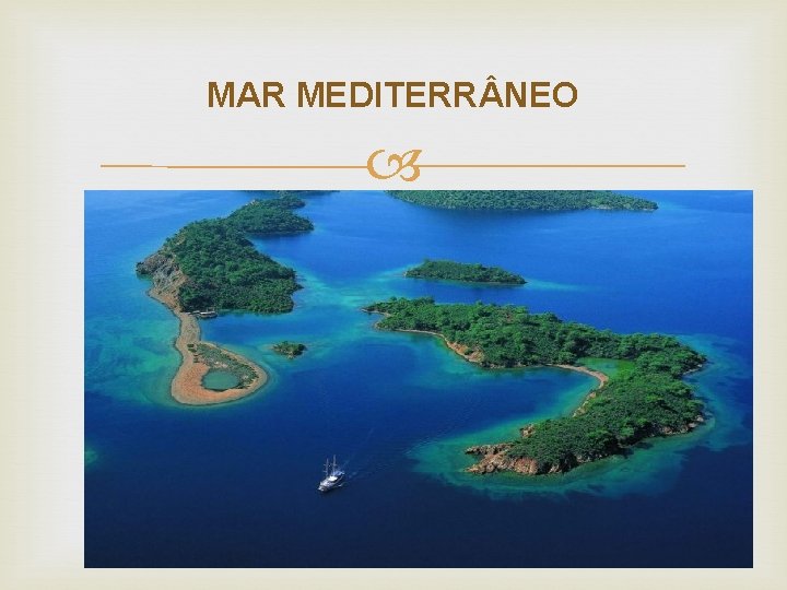 MAR MEDITERR NEO MAR MEDITERR NEO