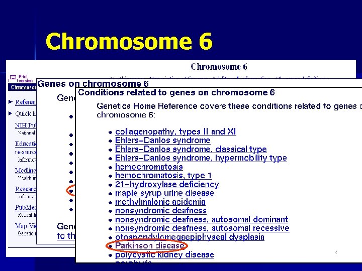 Chromosome 6 22 