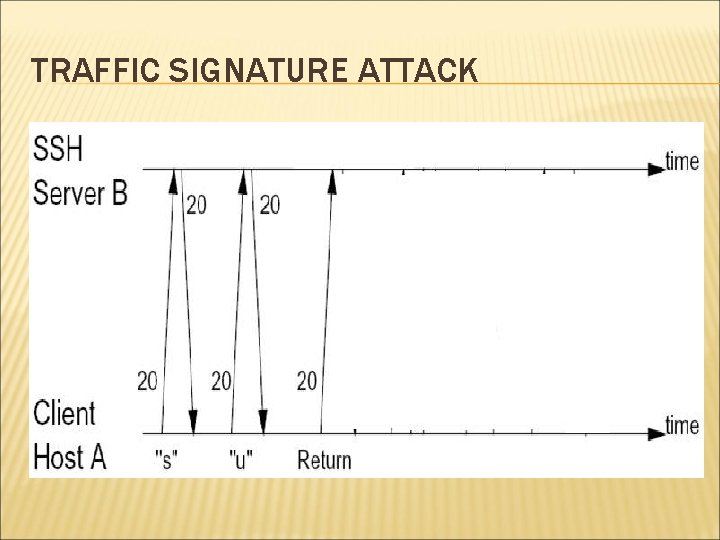 TRAFFIC SIGNATURE ATTACK 