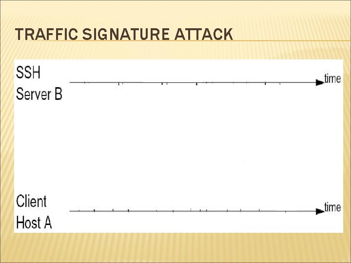 TRAFFIC SIGNATURE ATTACK 