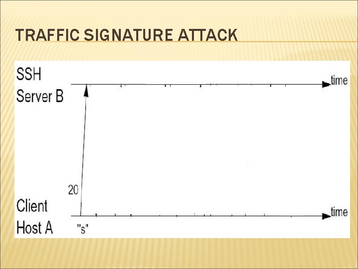 TRAFFIC SIGNATURE ATTACK 