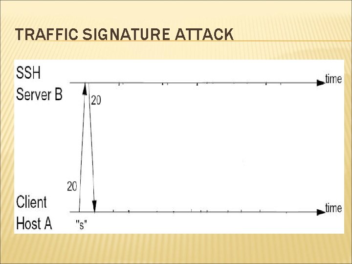 TRAFFIC SIGNATURE ATTACK 