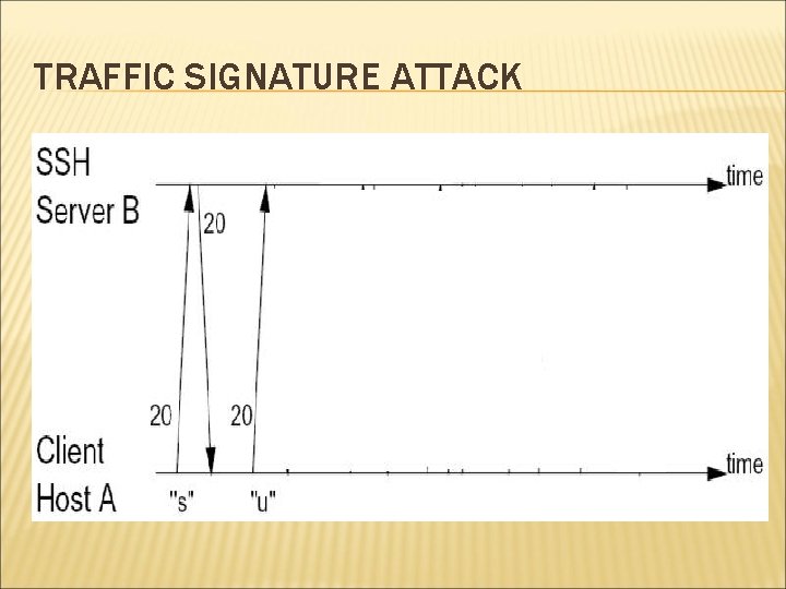 TRAFFIC SIGNATURE ATTACK 