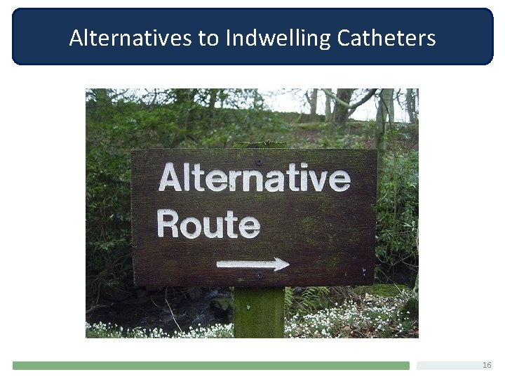 Alternatives to Indwelling Catheters 16 