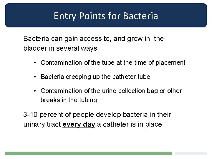 Entry Points for Bacteria can gain access to, and grow in, the bladder in