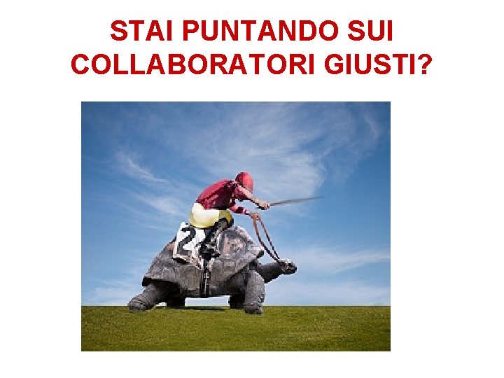 STAI PUNTANDO SUI COLLABORATORI GIUSTI? STAI PUNTANDO SUI COLLABORATORI GIUSTI?