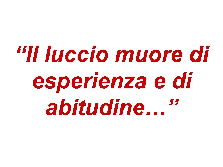 “Il luccio muore di esperienza e di abitudine…” “Il luccio muore di esperienza e di abitudine…”