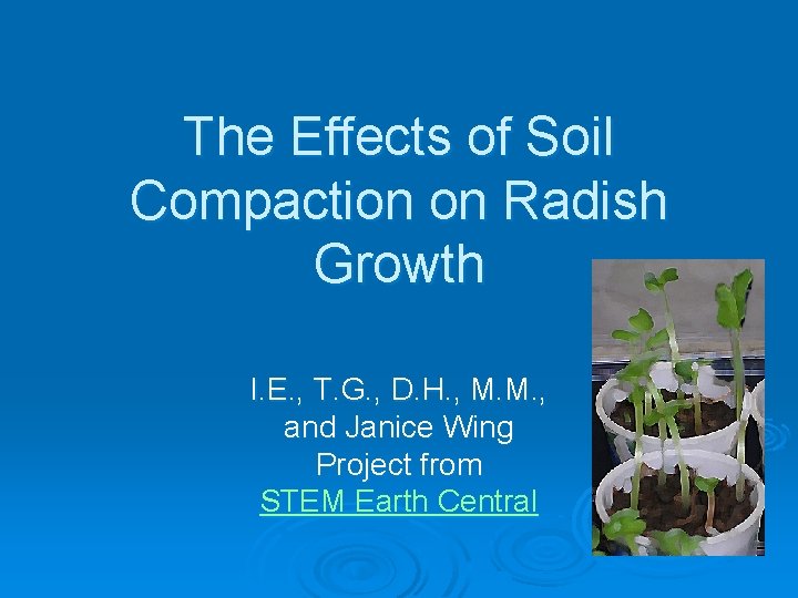 The Effects of Soil Compaction on Radish Growth I. E. , T. G. , The Effects of Soil Compaction on Radish Growth I. E. , T. G. ,