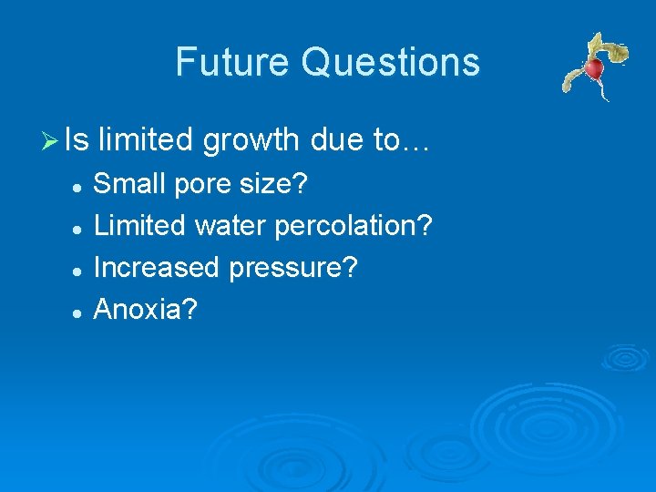 Future Questions Ø Is limited growth due to… Small pore size? l Limited water Future Questions Ø Is limited growth due to… Small pore size? l Limited water