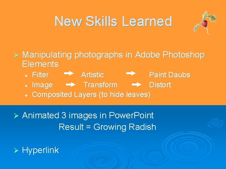 New Skills Learned Ø Manipulating photographs in Adobe Photoshop Elements l l l Filter New Skills Learned Ø Manipulating photographs in Adobe Photoshop Elements l l l Filter