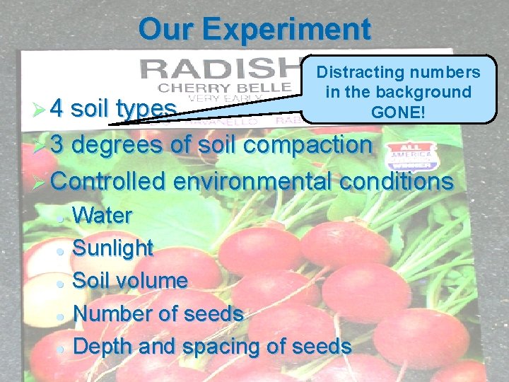 Our Experiment Ø 4 soil types Distracting numbers in the background GONE! Ø 3 Our Experiment Ø 4 soil types Distracting numbers in the background GONE! Ø 3