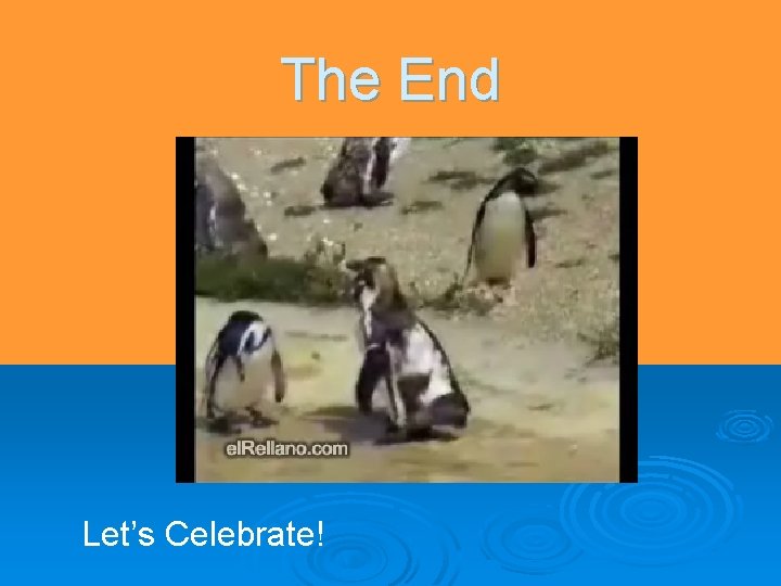 The End Let’s Celebrate! The End Let’s Celebrate!