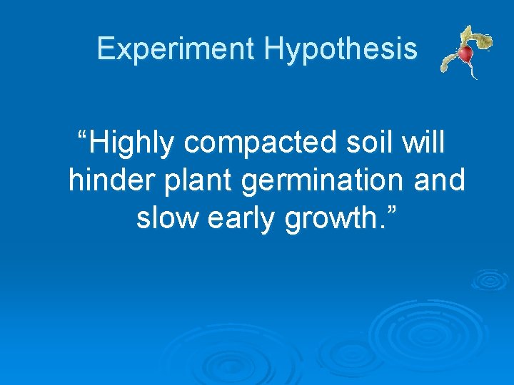 Experiment Hypothesis “Highly compacted soil will hinder plant germination and slow early growth. ” Experiment Hypothesis “Highly compacted soil will hinder plant germination and slow early growth. ”
