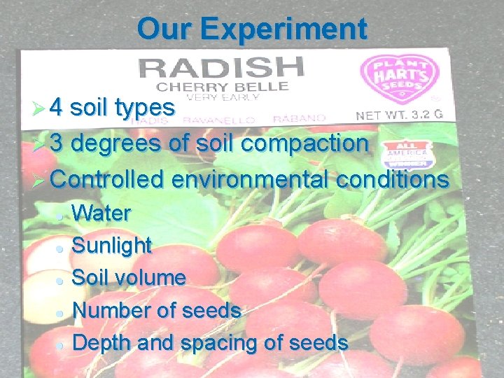 Our Experiment Ø 4 soil types Ø 3 degrees of soil compaction Ø Controlled Our Experiment Ø 4 soil types Ø 3 degrees of soil compaction Ø Controlled
