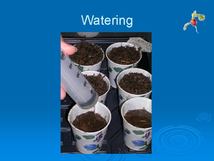 Watering Watering