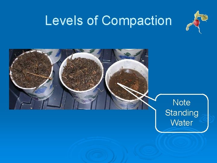 Levels of Compaction Note Standing Water Levels of Compaction Note Standing Water