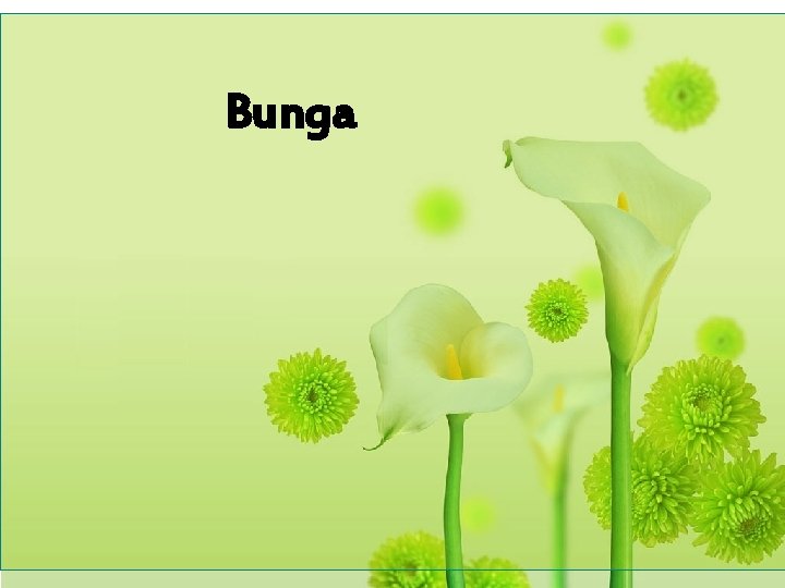 Bunga 