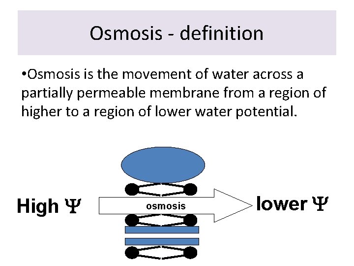 Osmosis - definition • Osmosis is the movement of water across a partially permeable