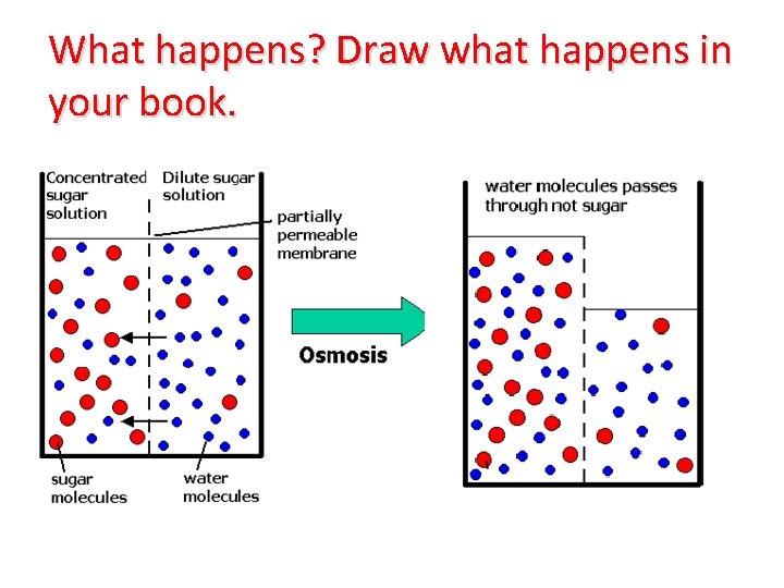 What happens? Draw what happens in your book. 