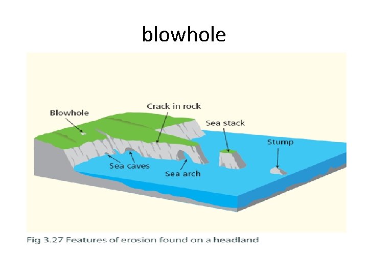 blowhole blowhole