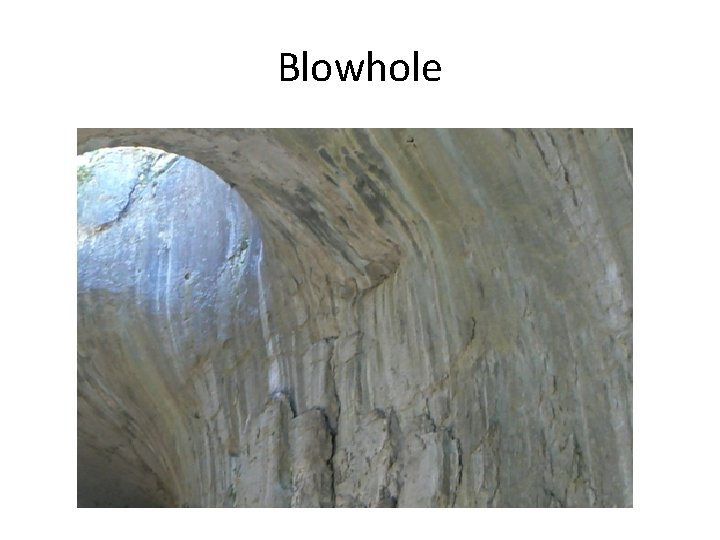 Blowhole Blowhole